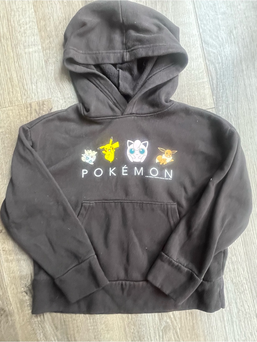 Kids Pokemon sweater with hood
